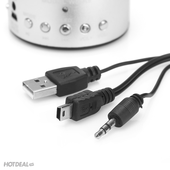 Loa USB, Thẻ Nhớ Mini WS-A9